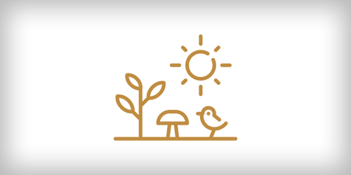 Flora und Fauna auf Korsika